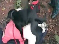 amateur sluts anal dog fucking in brutal outdoor 2